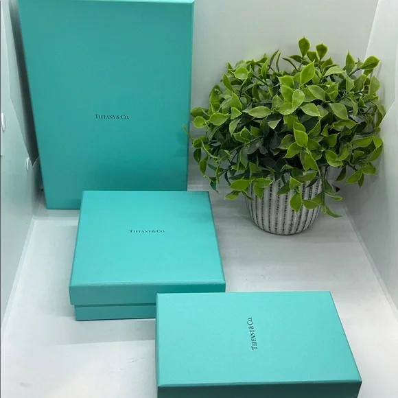 Tiffany & Co. Autentic Turquoise Gift Boxes
(Set of three) - Picture 2 of 9